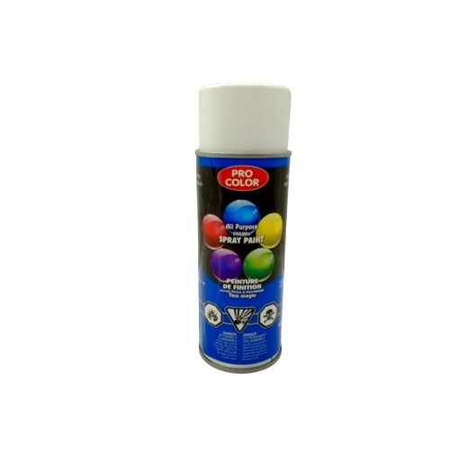 Spray Paint Gloss White 340g. All Purpose Enamel Pro Color