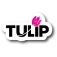 Tulip Color