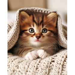 Printed Throw Kitten 48 x 60" Micromink"