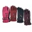 Ski Gloves Ladies Microfiber Lined Dotted Palm w/Zip Ass't Colours Thermax
