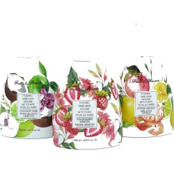Foaming Hand Wash 500mL Assortment 45402 Fruits & Flowers