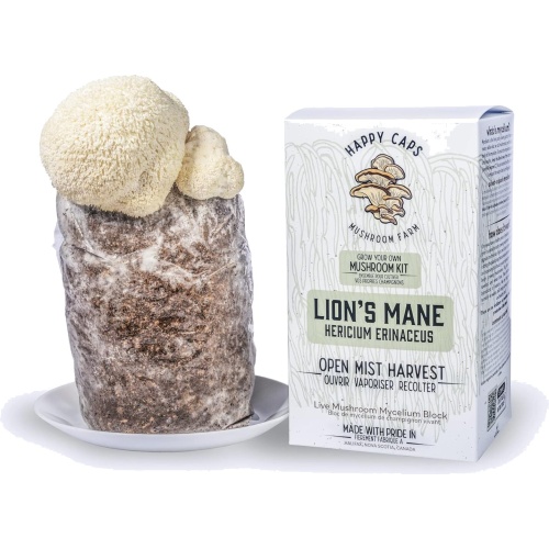 Grow Your Own Mushroom Kit Lion's Mane Happy Caps