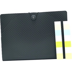 24 Pockets Expandable Accordion File Organizer