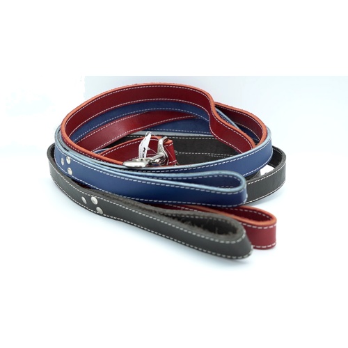 Leather Leads 1 X 6' Blue Or Brown Or Red