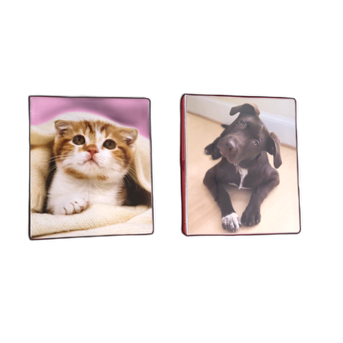 1 Fashion Binder Assorted Animals